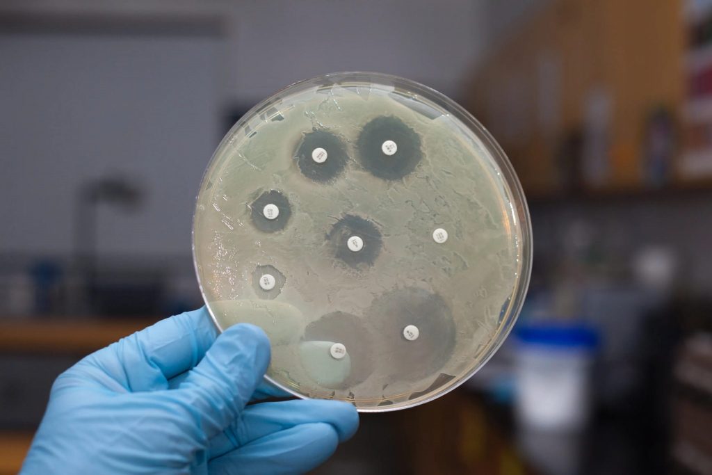 , История создания пенициллина: плесень против микробов